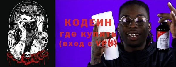 крисы Кулебаки