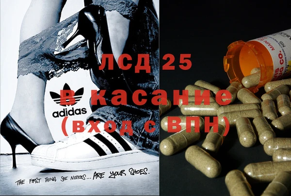крисы Кулебаки