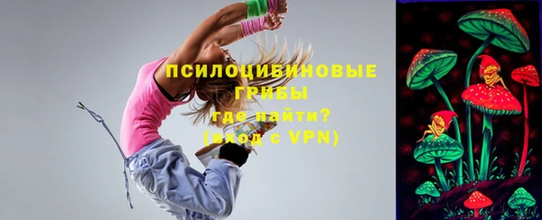 ГАЛЛЮЦИНОГЕННЫЕ ГРИБЫ Красноперекопск