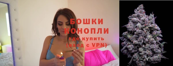 крисы Кулебаки