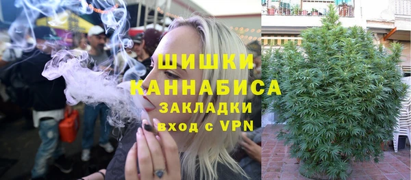крисы Кулебаки