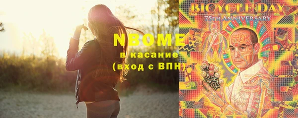 крисы Кулебаки
