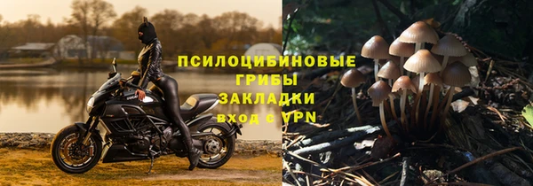 мяу мяу мука Краснотурьинск