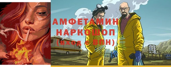 крисы Кулебаки