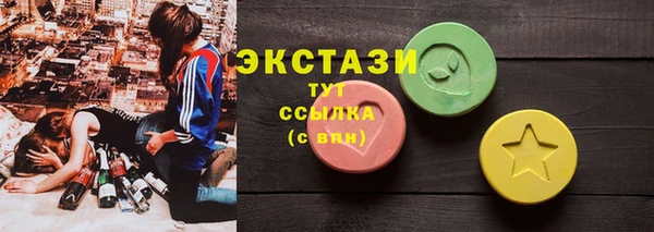 крисы Кулебаки