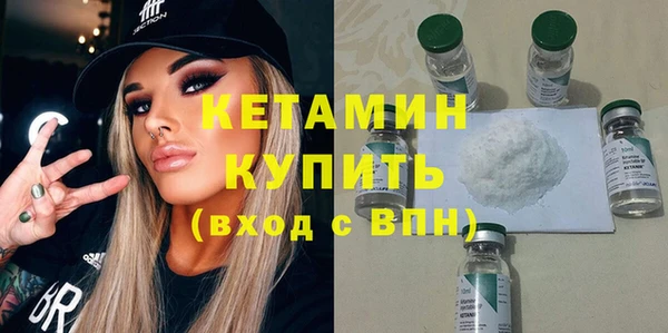 крисы Кулебаки
