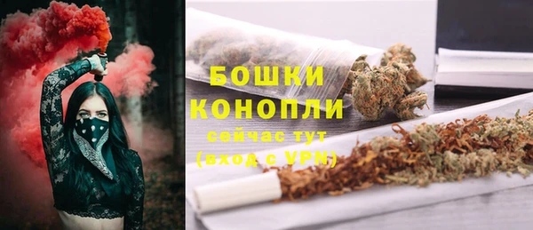 крисы Кулебаки