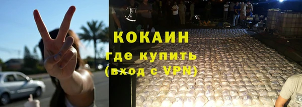 крисы Кулебаки