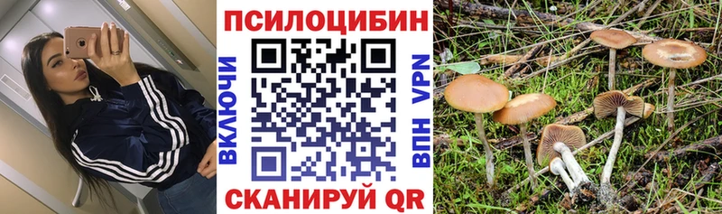 Купить закладки  Новохопёрск  Галлюциногенные грибы прущие грибы 