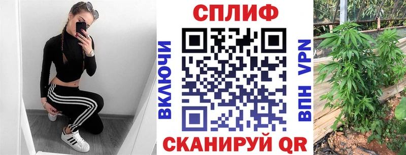 Купить закладки  Новохопёрск  Марихуана тримм 